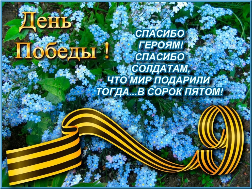 9 Мая – один из самых почитаемых праздников в нашей стране и во всём мире.