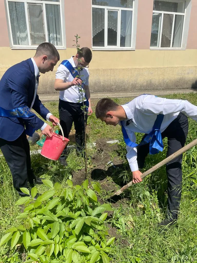 Сад выпускников