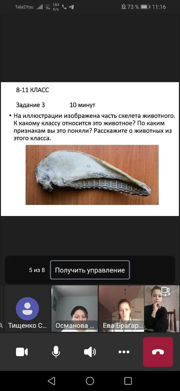 Конкурс Знатоки биологии ЮФУ