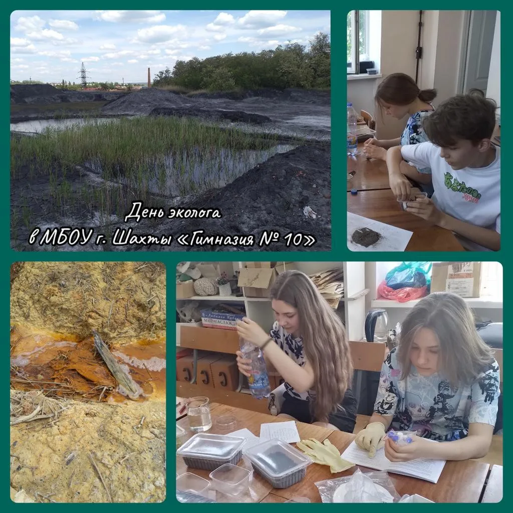 Экологическая акция «День эколога»